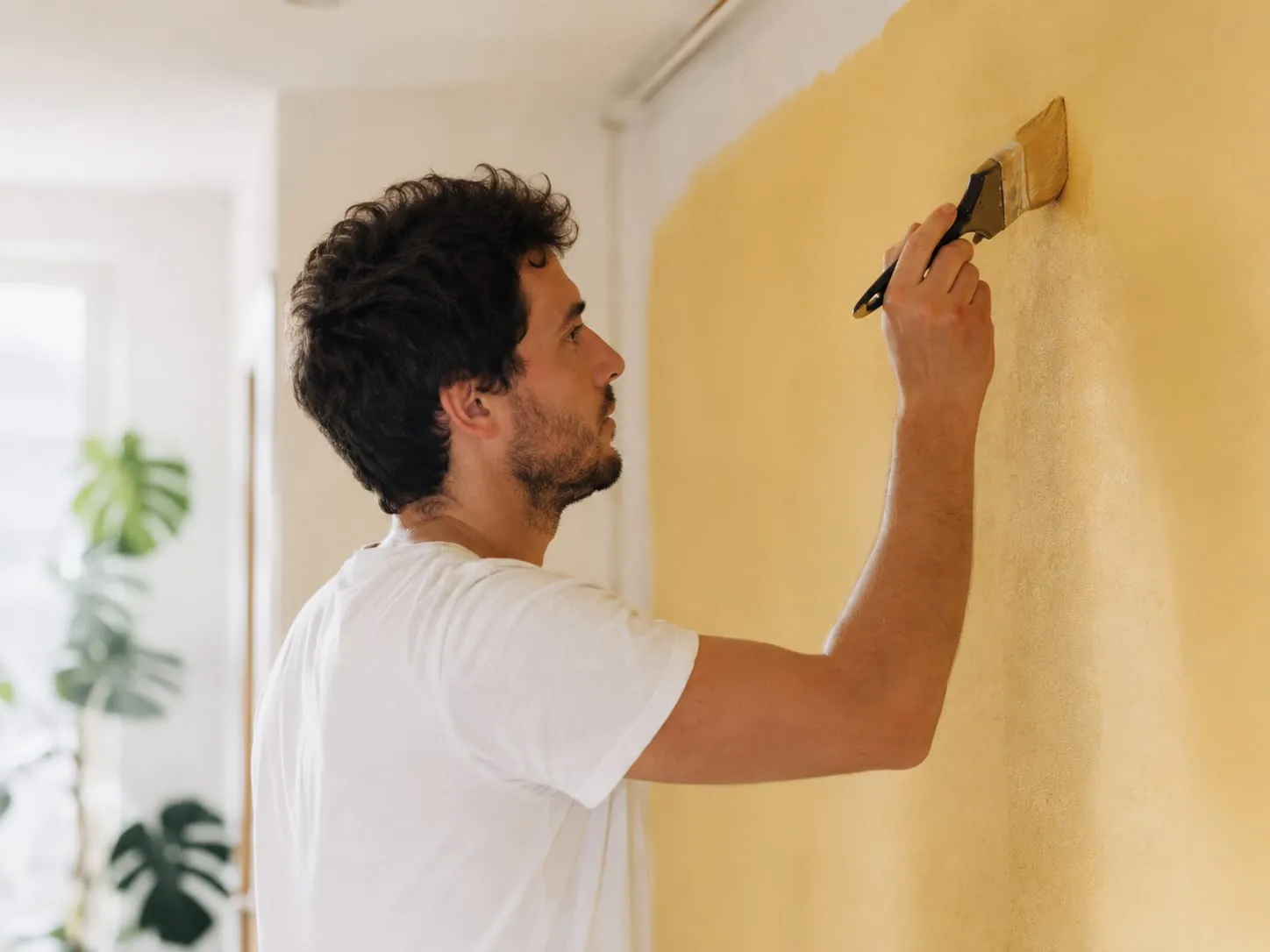 Pintar pisos y viviendas en Madrid