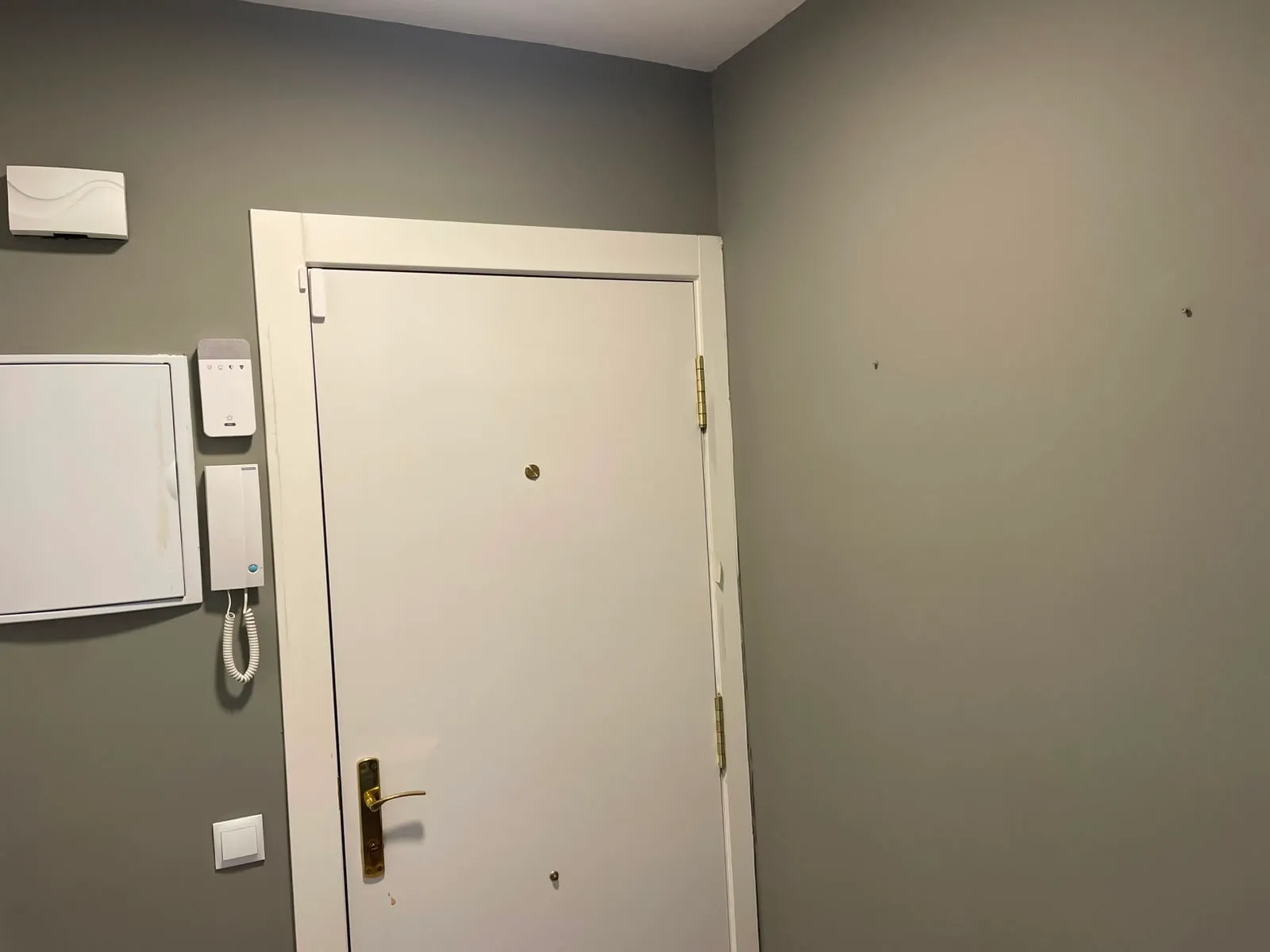 Recibidor de un piso pintado en gris claro
